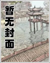 九莲と宝灯(日本麻将烧脑文）